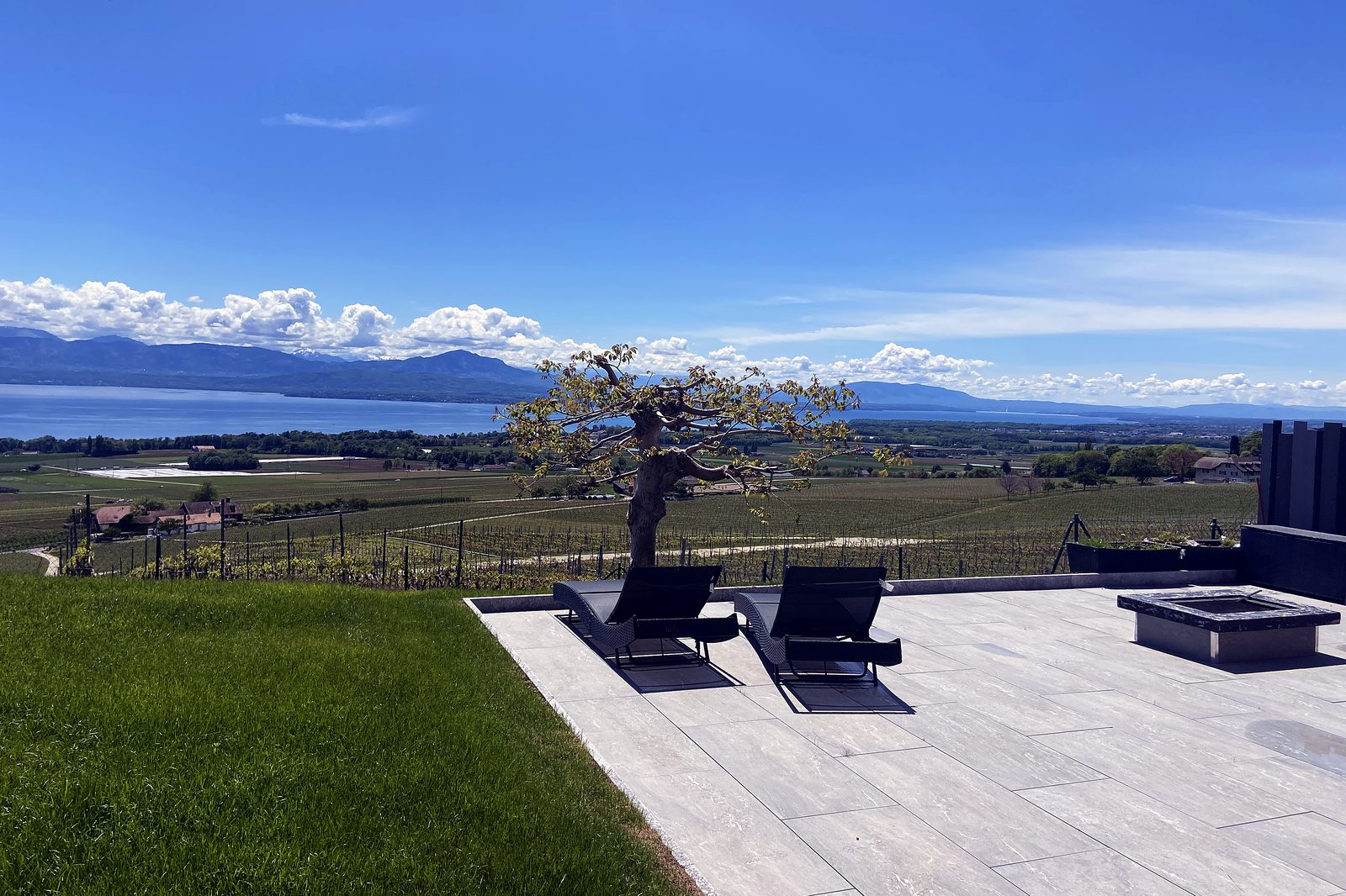 Terrasse dominant le vignoble de La Côte et le Léman, district de Nyon